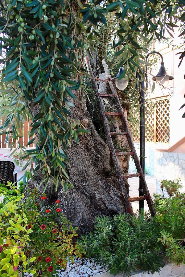 Villa Marchionna 비에스테 외부 사진